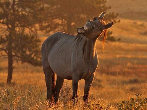 15895227_1379100275455489_278788105101998146_n